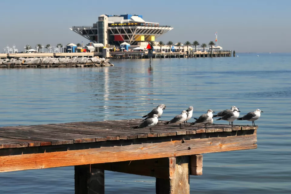 St. Petersburg's Pier